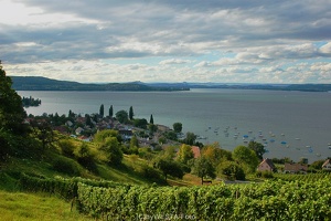 Bilder vom Untersee